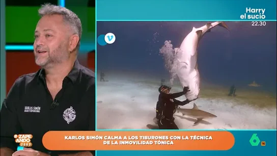 ¿Qué hacer si nos ataca un tiburón? Karlos Simón explica cómo actuar en ese caso El experto en tiburones indica que, ante un ataque, lo mejor es golpearlo en la zona de la cabeza y las branquias. "Lo más importante es no salir huyendo porque vamos a llamar mucho más su atención", añade.