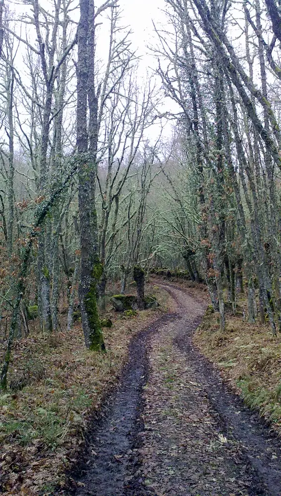 Fraga de San Xoán de Río Fraga de San Xoán de Río