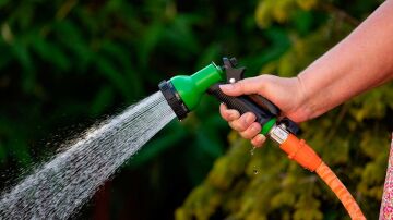 Cómo la tecnología puede ayudarte a regar tus plantas durante las vacaciones