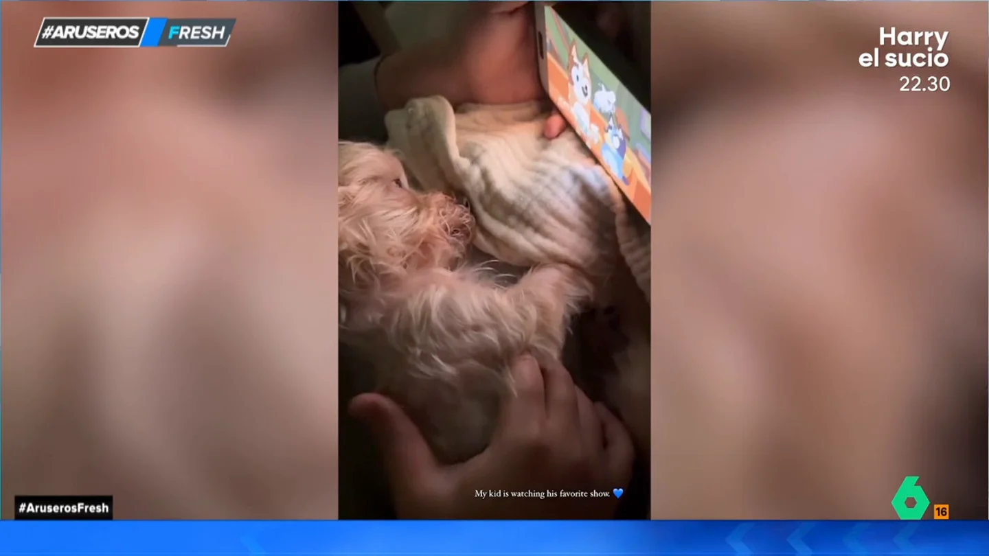 Así se relaja este perro con su dueño mientras ve su 'serie de confort' Así se relaja este perro con su dueño mientras ve su 'serie de confort'