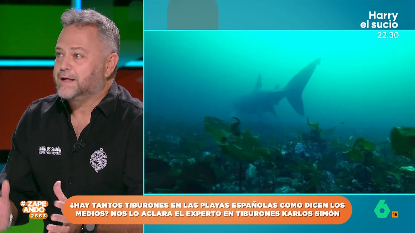 Un experto en tiburones explica qué especies es posible encontrar en las cosas españolas Karlos Simón indica que, a pesar de que los avistamiento de estos animales ha aumentado, "no es para alarmarse". El experto explica que este aumento puede deberse, por ejemplo, al cambio climático.