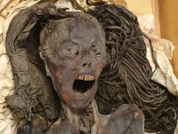 La momia conocida como "la mujer que grita" La momia conocida como "la mujer que grita"