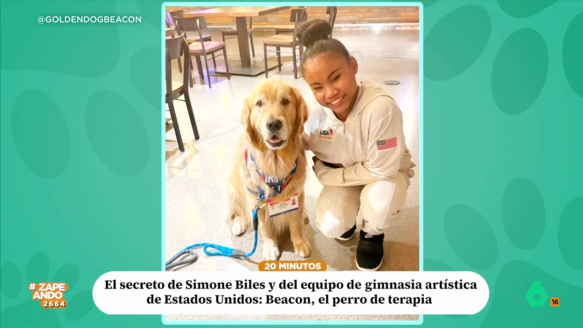 Simon Biles y sus compañeras del equipo de gimnasia artística de Estados Unidos han conseguido conquistar los Juegos Olímpicos de Paris. Pero su buen hacer, además de sus numerosas horas de entreno, también se debe a un perro de terapia. 