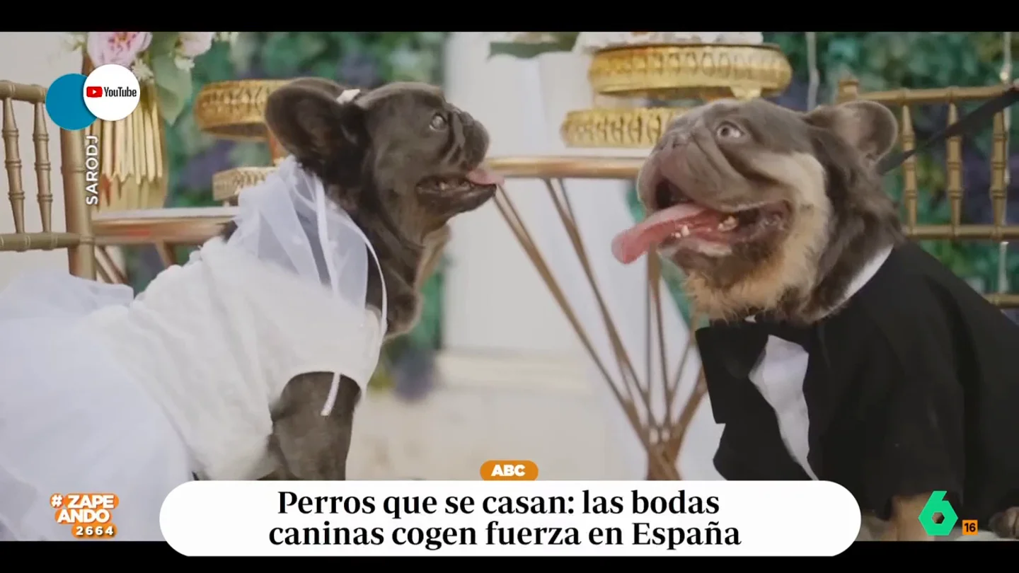 Esta es la última tendencia entre los dueños de perros: las bodas caninas Muchas personas han decidido organizar este tipo de eventos para sus mascotas en los que no falta detalle: desde los trajes de gala hasta chapas conmemorativas o un cáterin especial.