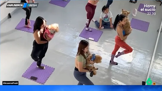 La peculiar clase de yoga que tiene una 'norma' muy especial: solo puedes entrar con tu mascota La peculiar clase de yoga que tiene una 'norma' muy especial: solo puedes entrar con tu mascota