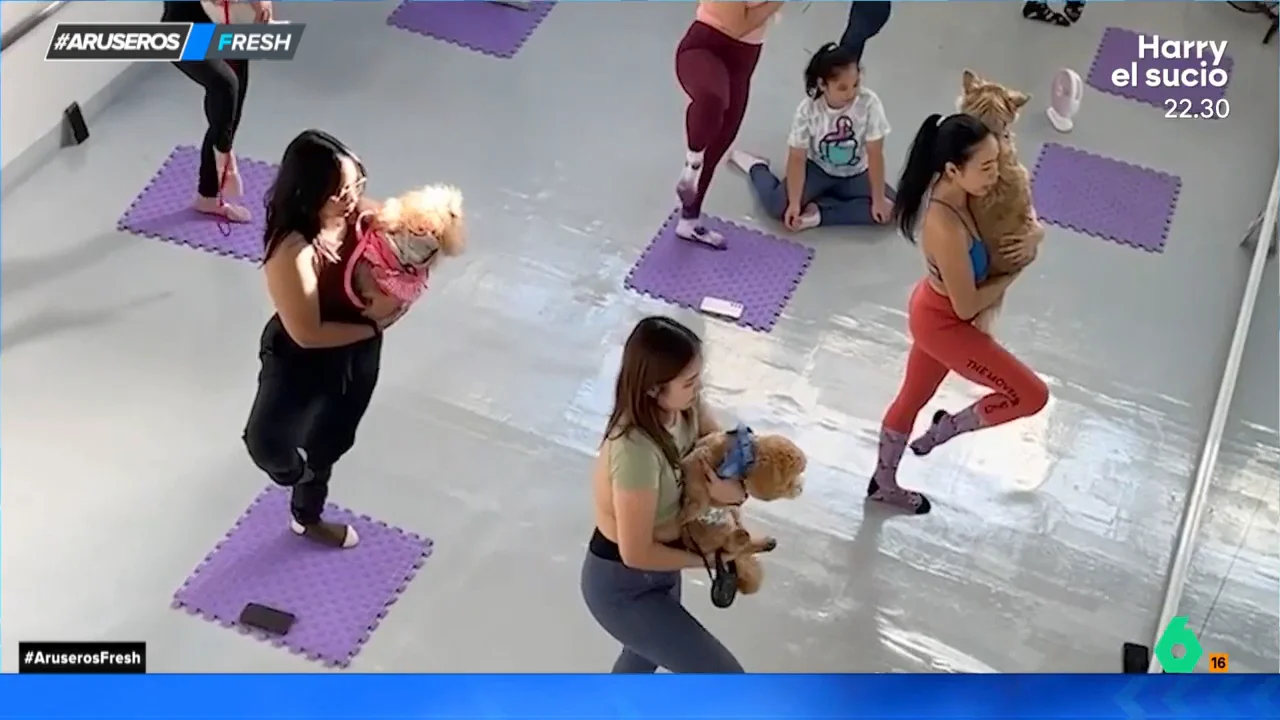 La peculiar clase de yoga que tiene una 'norma' muy especial: solo puedes entrar con tu mascota