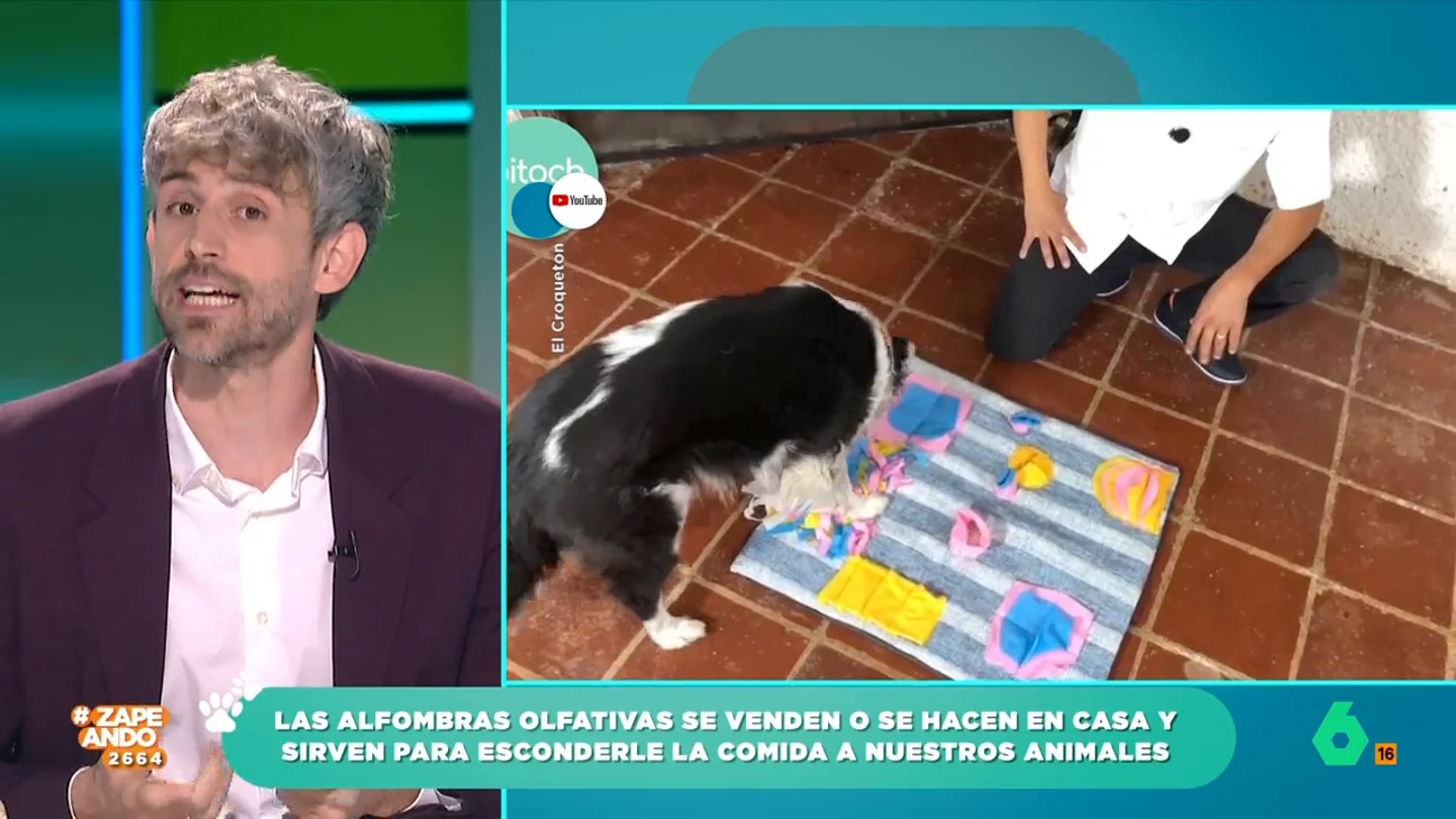 El veterinario Víctor Algra explica la utilidad de las alfombras olfativas para mascotas El veterinario considera el uso de este tipo de alfombras como algo muy positivo y recomienda que sean de materiales seguros, para que no las ingieran, y con texturas suaves para que no se hagan daño en el hocico.