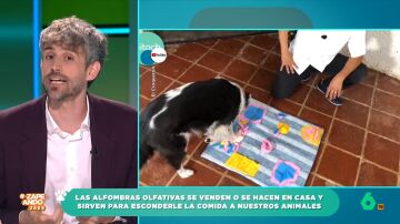 El veterinario Víctor Algra explica la utilidad de las alfombras olfativas para mascotas