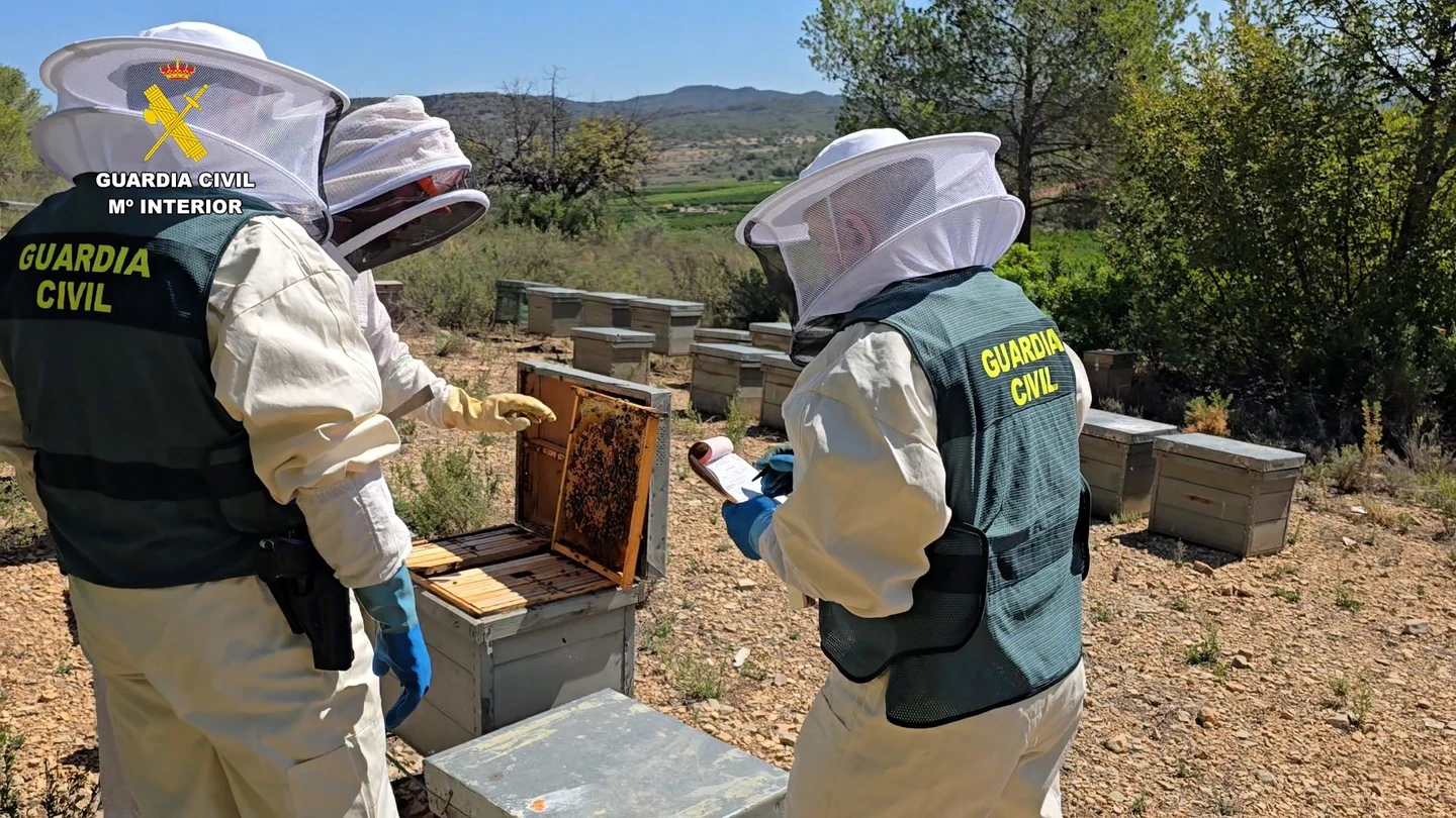 La Guardia Civil investiga a 11 personas por comercializar más de 40 toneladas de miel ecológica contaminada de China La Guardia Civil investiga a 11 personas por comercializar más de 40 toneladas de miel ecológica contaminada de China