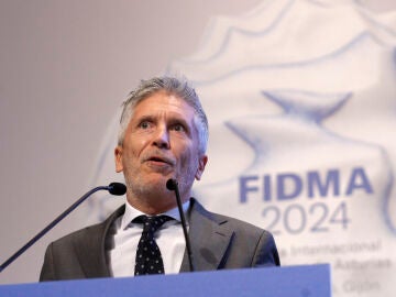 El ministro del Interior, Fernando Grande-Marlaska, en una imagen de archivo