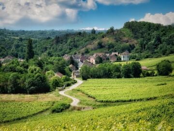 Borgoña. Francia