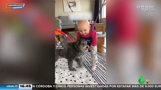 El tierno momento de un perro y un bebé jugando juntos como dos hermanos El tierno momento de un perro y un bebé jugando juntos como dos hermanos
