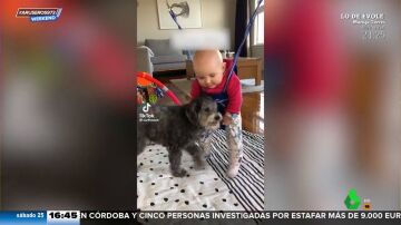 El tierno momento de un perro y un bebé jugando juntos como dos hermanos