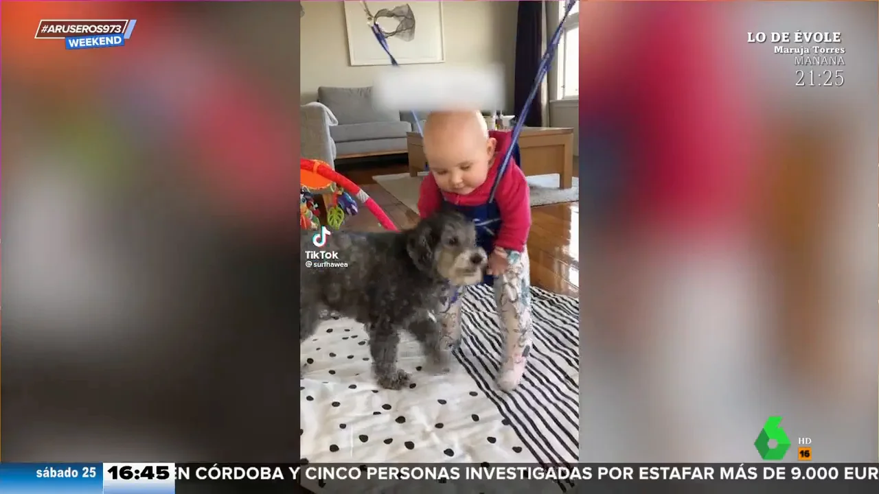 El tierno momento de un perro y un bebé jugando juntos como dos hermanos