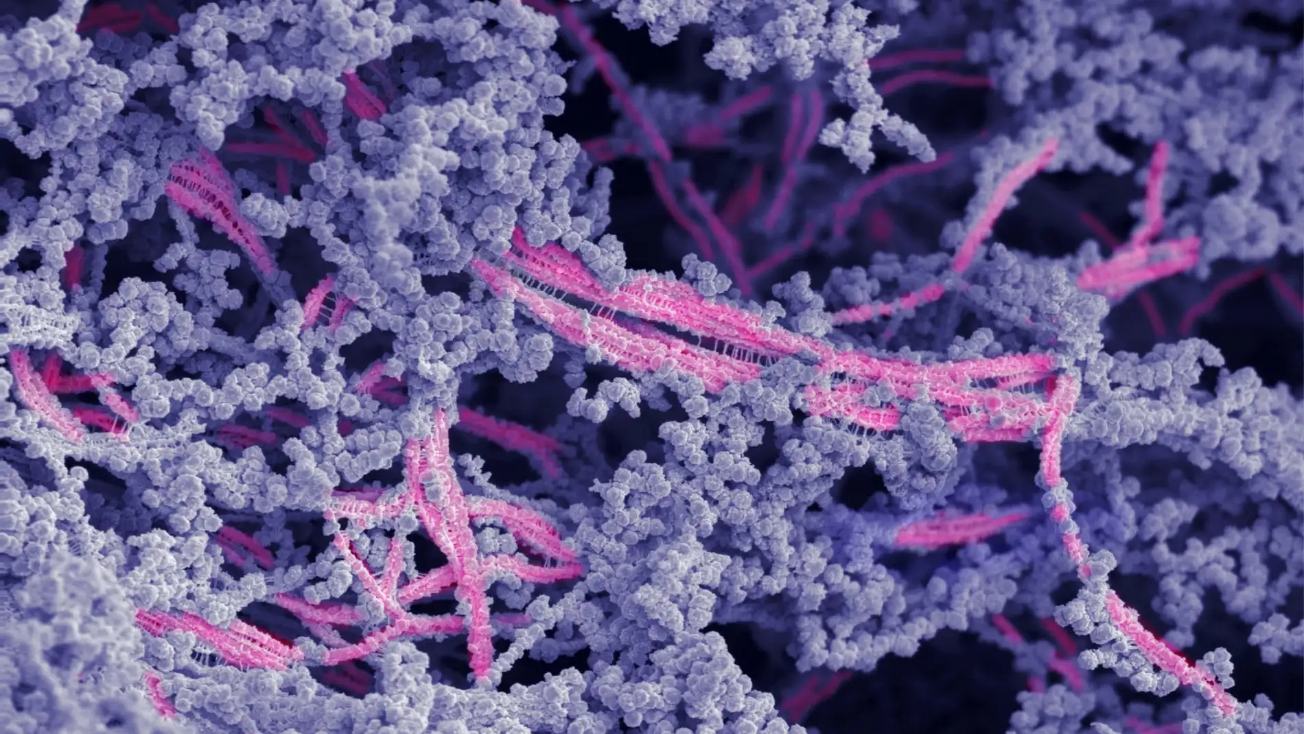 biomaterial para reparar cartílago biomaterial para reparar cartílago