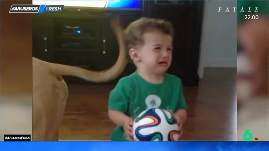 La reacción viral de un niño cuando el perro le molesta con la cola La reacción viral de un niño cuando el perro le molesta con la cola