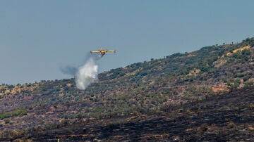 Un hidroavión participa en las tareas de extinción del incendio forestal declarado este martes en La Estrella (Toledo)