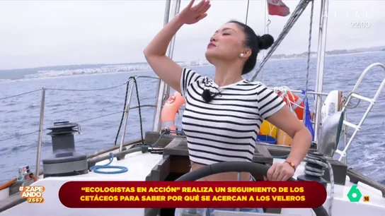 Jiaping se sube al barco de 'Ecologistas en Acción' para ver a las orcas ibéricas: "Es una experiencia increíble" Jiaping se sube al barco de 'Ecologistas en Acción' para ver a las orcas ibéricas: "Es una experiencia increíble"
