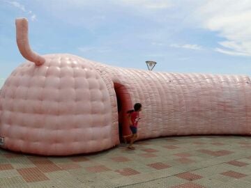 mapa gen&oacute;mico del c&aacute;ncer colorrectal