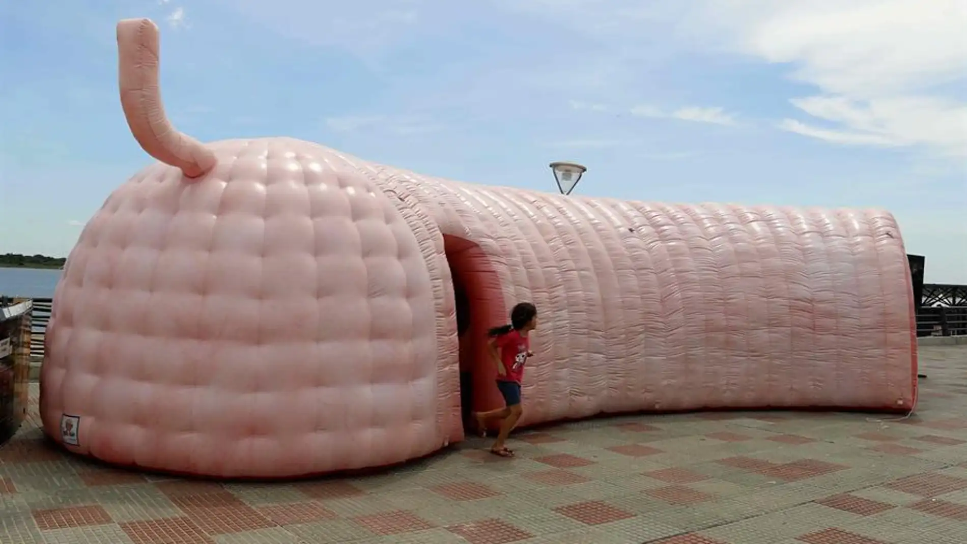 mapa genómico del cáncer colorrectal mapa genómico del cáncer colorrectal