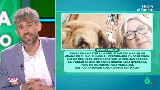 El veterinario Víctor Algra resuelve la duda de una espectadora: "Mi mascota tiene un grano en el ojo, ¿debo operarla?" El veterinario visita el programa para contestar a las preguntas de los espectadores del programa sobre sus mascotas.