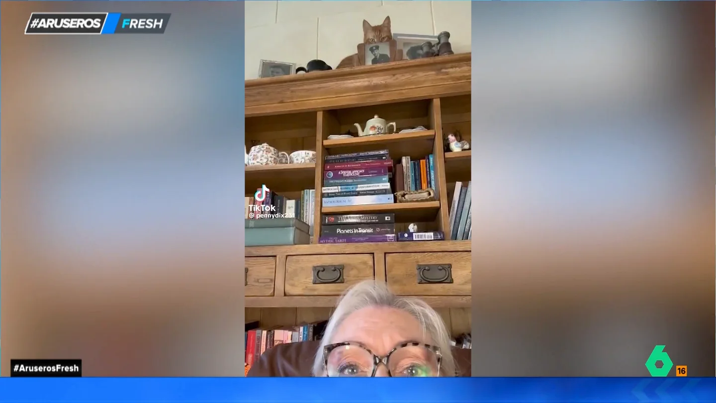 Esta es la jugarreta de un gato a su dueña Esta es la jugarreta de un gato a su dueña