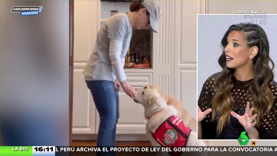 La bióloga Evelyn Segura, sobre los perros: "Pueden detectar ingredientes peligrosos, enfermedades o si vas a sufrir un colapso" La bióloga Evelyn Segura, sobre los perros: "Pueden detectar ingredientes peligrosos, enfermedades o si vas a sufrir un colapso"