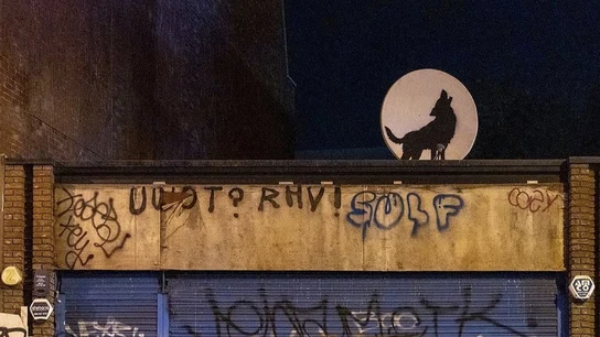 Banksy confirma la creación de su cuarta obra, que ha sido robada en Londres El lobo sobre la parabólica dibujado por Banksy en un barrio de Londres