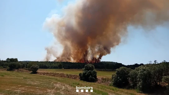 Declarado un incendio forestal en Vilanova de Meià (Lleida) que obliga a confinar dos localidades Imagen del incendio declarado en Vilanova de Meià