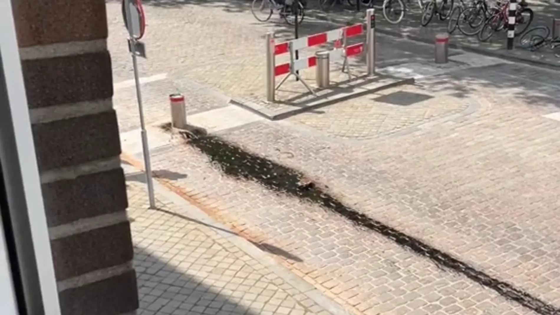 Bolardo automático Bolardo automático