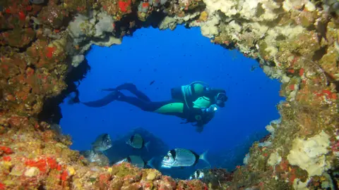 Buceador en Formentera Buceador en Formentera
