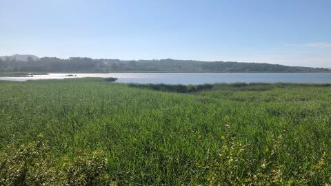 Laguna de A Frouxeira