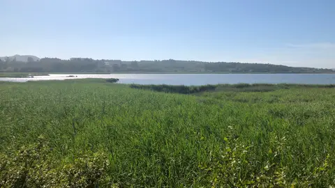 Laguna de A Frouxeira Laguna de A Frouxeira