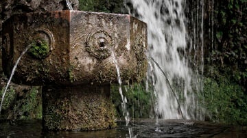 Fuente del Matrimonio