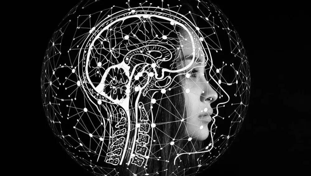 Ilustración del cerebro combinado con notas musicales Ilustración del cerebro combinado con notas musicales