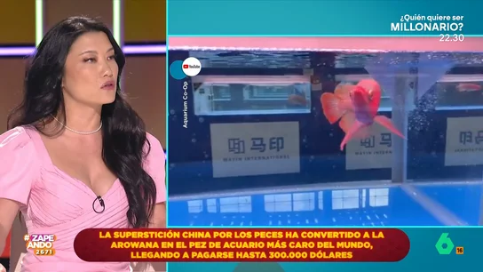 Jiaping desvela por qué en los restaurantes chinos siempre hay acuarios La reportera visita otro días Zapeando para explicar algunas curiosidades de su cultura. En esta ocasión, se centra en algunos ritos que utilizan para evitar la mala suerte.