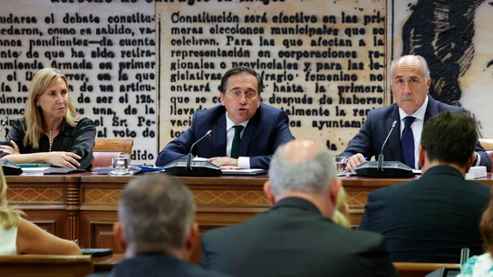 El ministro de Asuntos Exteriores, José Manuel Albares, comparece en el Senado El ministro de Asuntos Exteriores, José Manuel Albares, comparece en el Senado