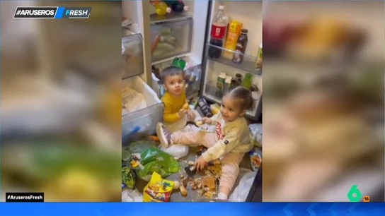 Así se han unido estos dos bebés y su perro para cometer el gran robo a la nevera: "Vaya festín" Así se han unido estos dos bebés y su perro para cometer el gran robo a la nevera: "Vaya festín"