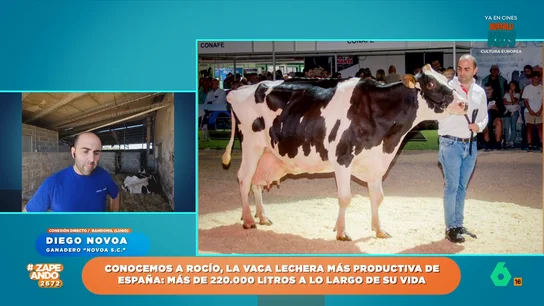 Una vaca gallega demuestra que "no es una vaca cualquiera": ha producido más de 220.000 litros de leche a lo largo de su vida Rocío, que así se llama, tiene 12 años y su producción que duplica la leche que produce una vaca de sus mismas características. Diego Novoa, su dueño, cuenta en Zapeando cómo lo han conseguido.