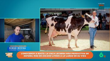 Una vaca gallega demuestra que "no es una vaca cualquiera": ha producido más de 220.000 litros de leche a lo largo de su vida