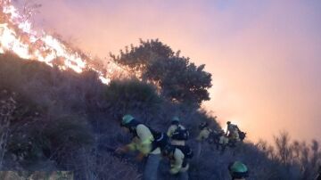 Bomberos del Plan Infoca trabajan para sofocar las llamas en las escarpadas laderas de Peña Escrita.