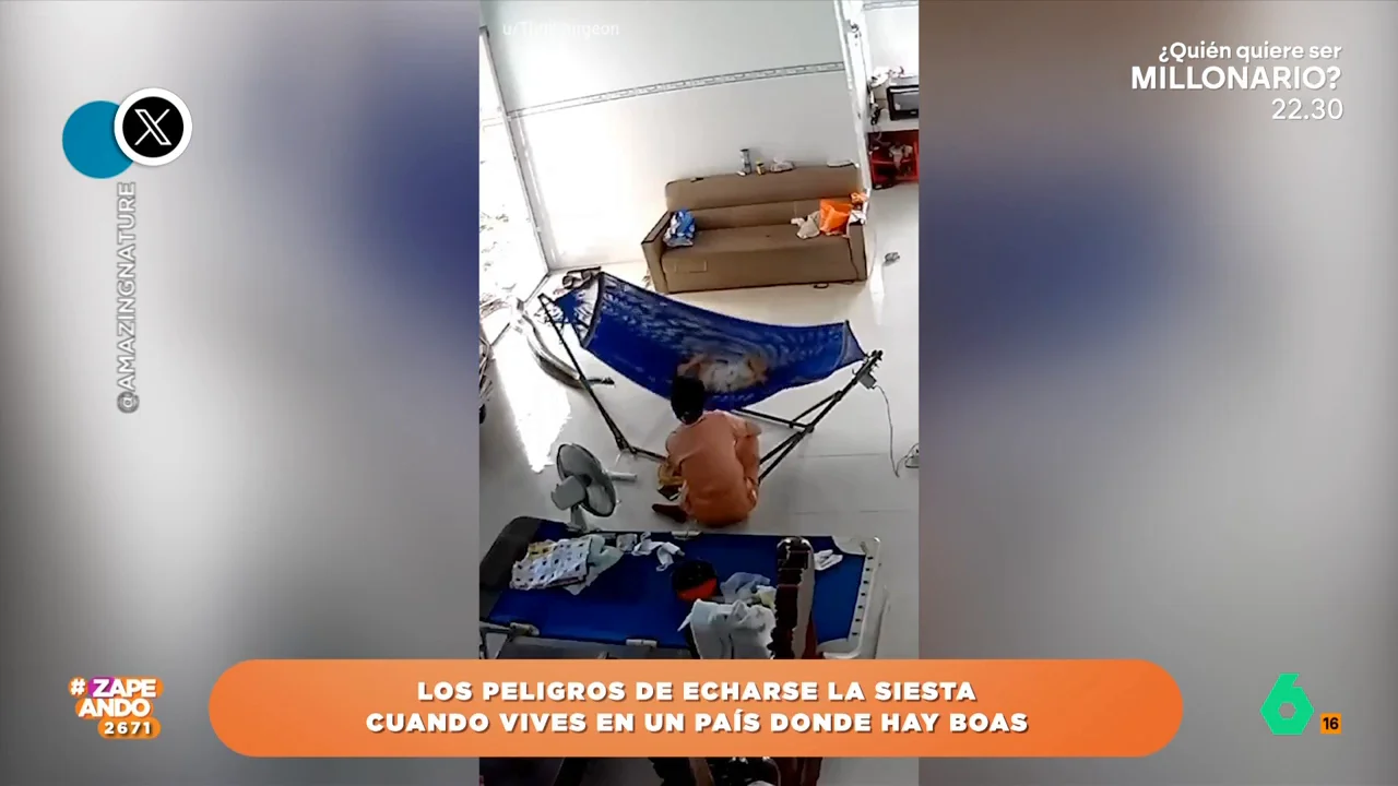 El animal decide colarse en una casa mientras una joven está intentando dormir a su hijo en una hamaca sin percatarse de que el animal está reptando hacia ella. 