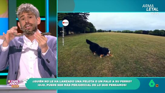 Los palos pueden causar da&ntilde;os en nuestras mascotas debido a que tienen superficies puntiagudas como, por ejemplo, lesiones en las enc&iacute;as o erosionar la mucosa bucal. 