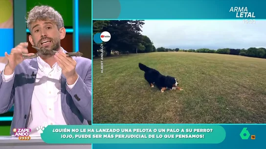 El veterinario Víctor Algra desvela por qué no debemos lanzar palos a nuestros perros Los palos pueden causar daños en nuestras mascotas debido a que tienen superficies puntiagudas como, por ejemplo, lesiones en las encías o erosionar la mucosa bucal.