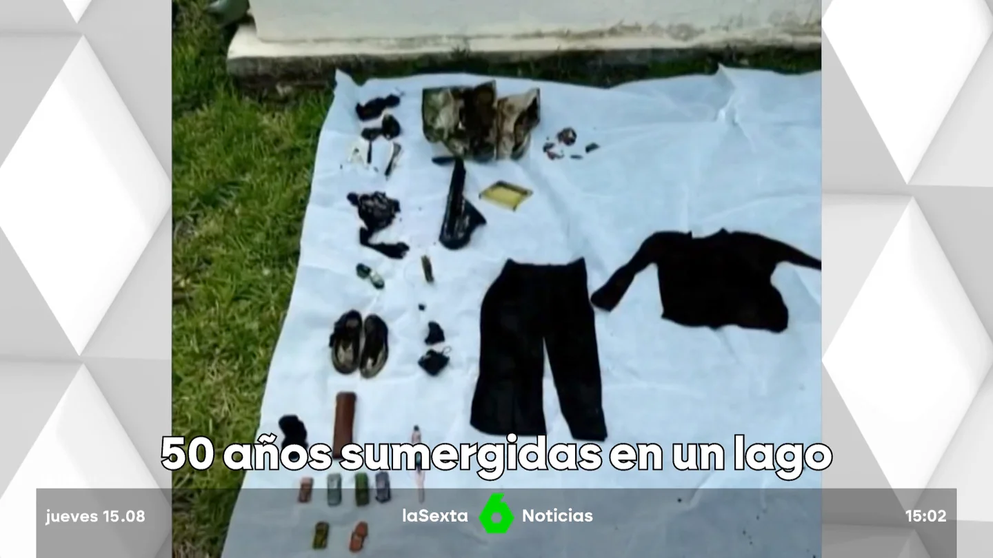 sumergidas en un lago sumergidas en un lago