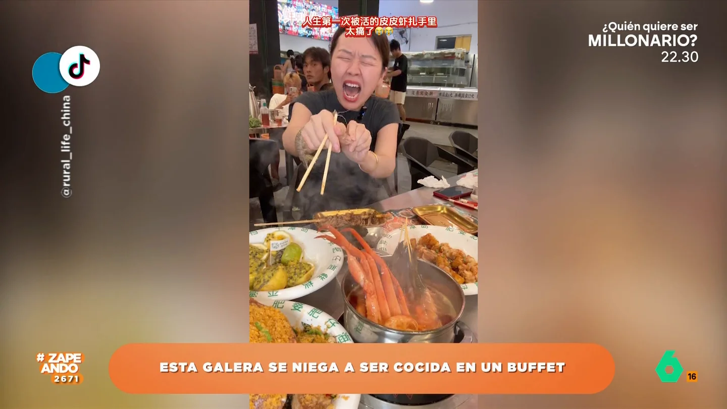 Una galera se niega a ser cocinada en un bufet y se convierte en viral El crustáceo formaba parte de el amplio menú de un bufet en China pero su instinto de supervivencia hace que luche para evitar ser hervida.