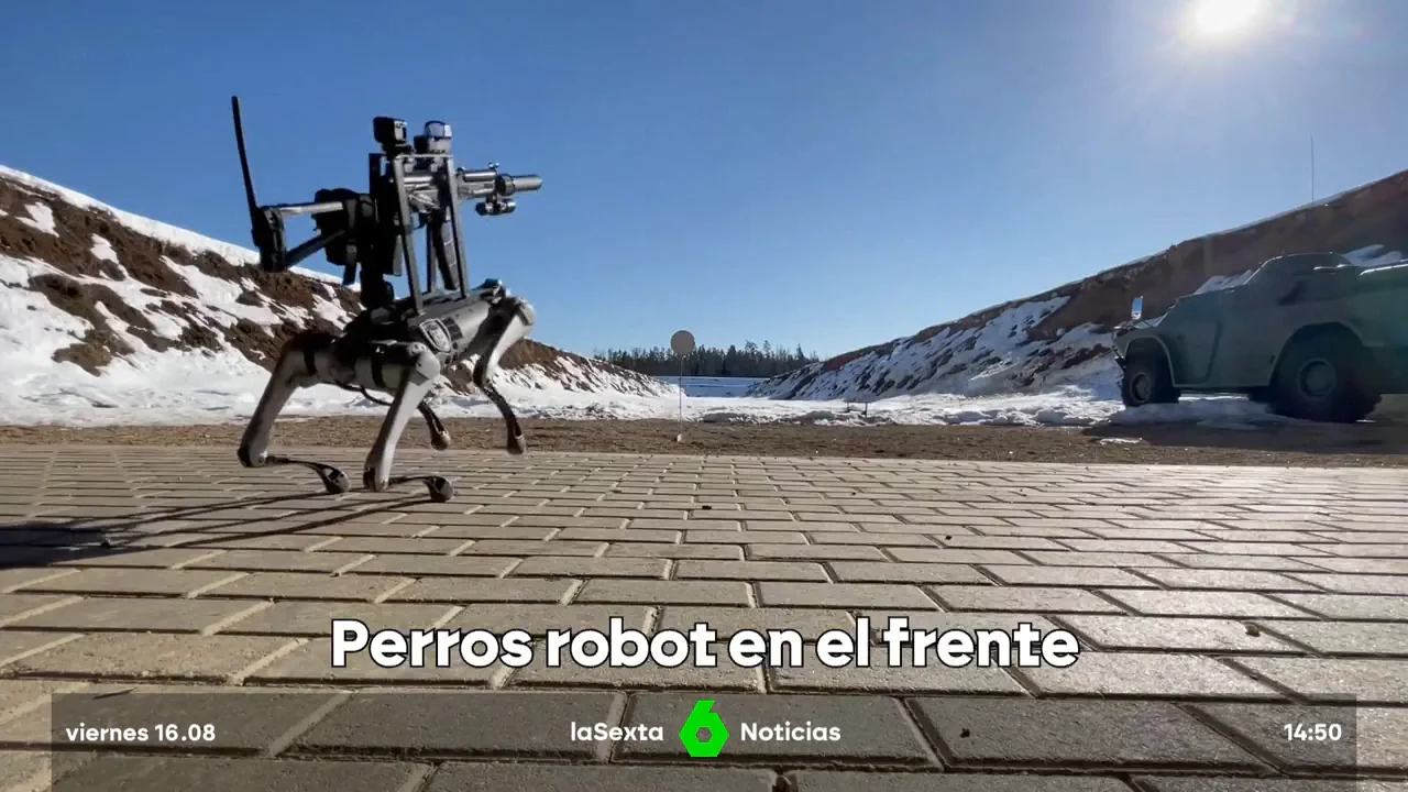 perros robot en el frente