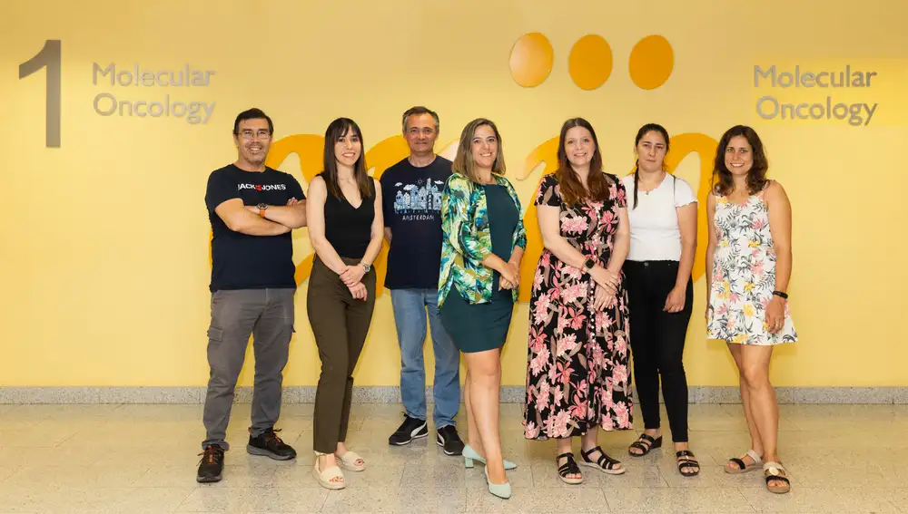 Investigadores participantes en el estudio Investigadores participantes en el estudio