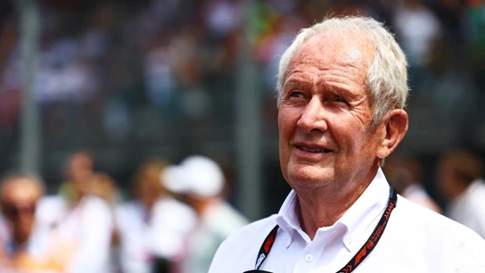 Helmut Marko, asesor de Red Bull Helmut Marko, asesor de Red Bull
