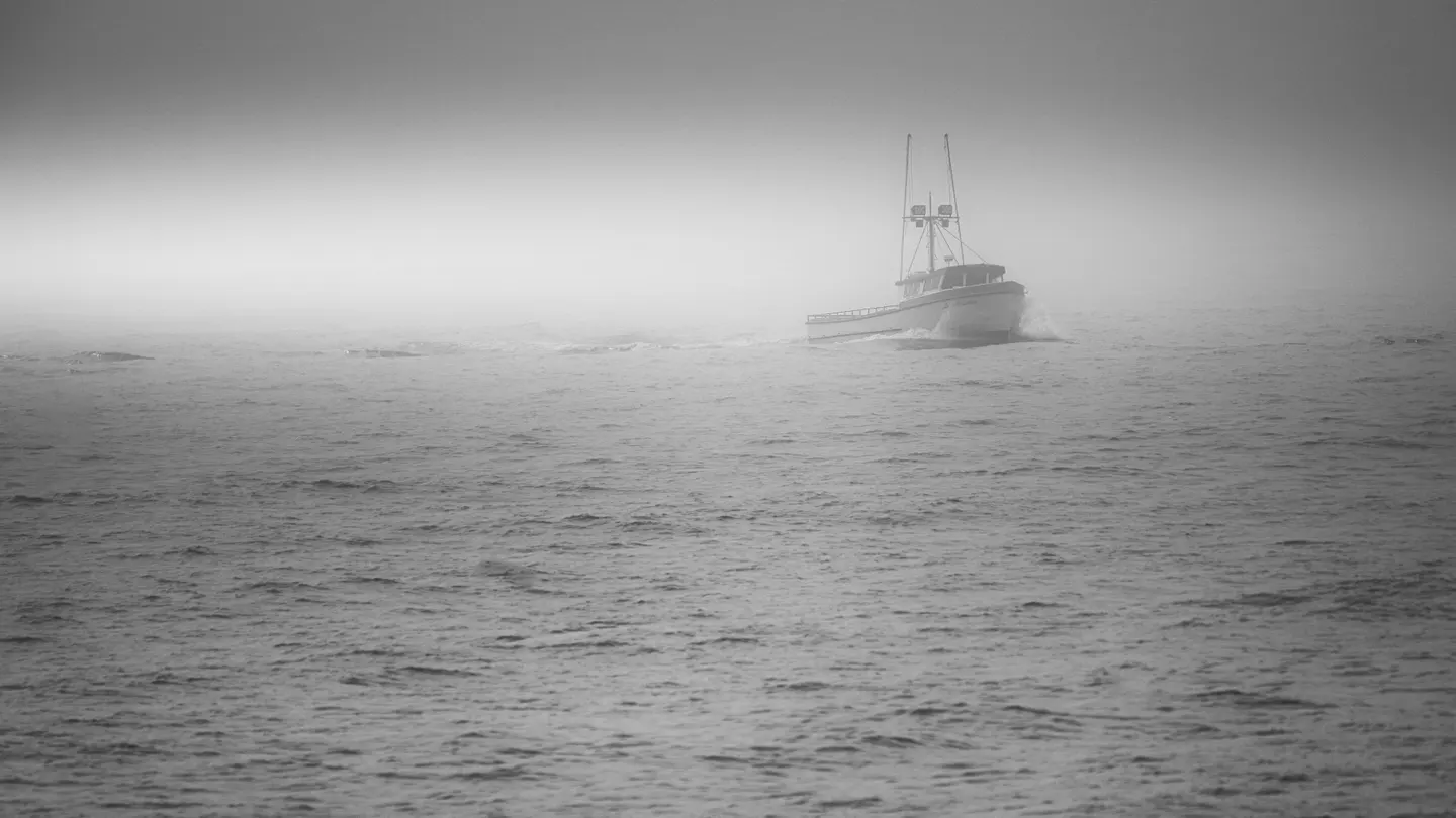 Barco Barco